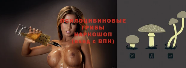 МДПВ Абаза
