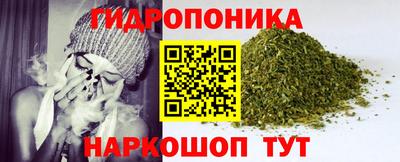 дурь Кохма