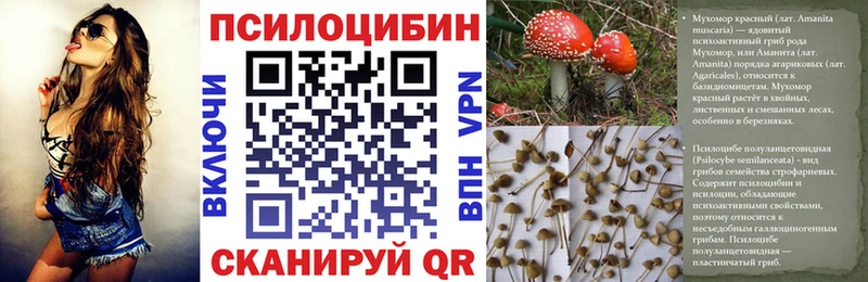 ссылка на мегу tor  Энгельс  Псилоцибиновые грибы GOLDEN TEACHER 